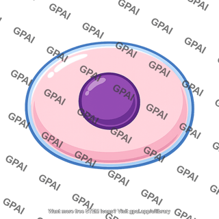 Swollen animal cell
