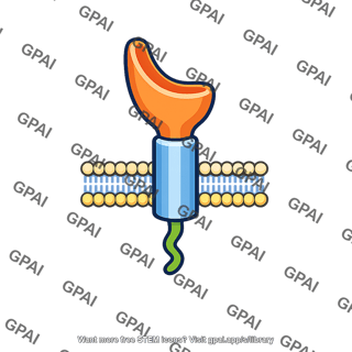 Ldl receptor
