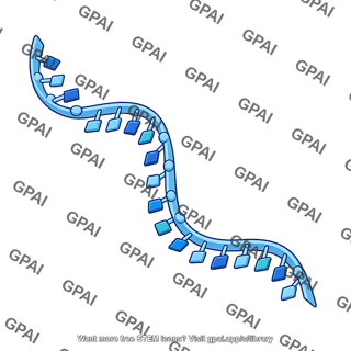 Nucleic acid single strand