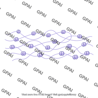Euchromatin