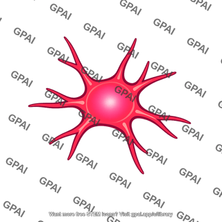 Glial cell fluorescent