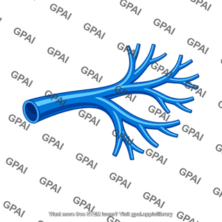 Branching blood vessel