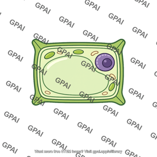 Plant cell