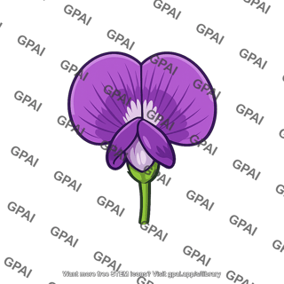 Pea flower purple