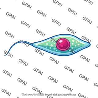 Parasite flagellate