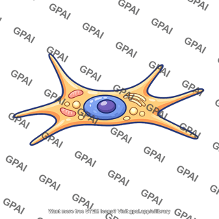 Cell specialized