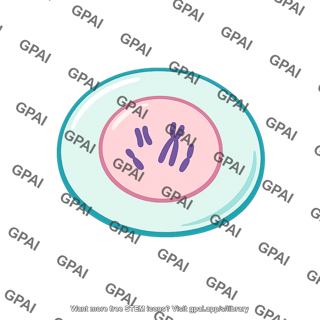 Haploid cell