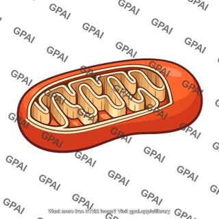 Mitochondrion 3d