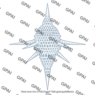Silica skeleton