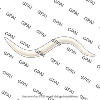 Soil worm caenorhabditis elegans