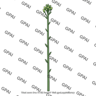 Floral stalk
