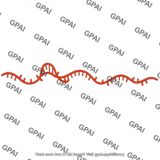 Rna strand orange red