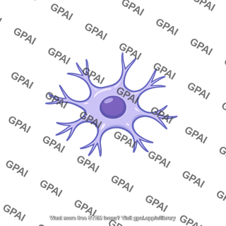 Glia