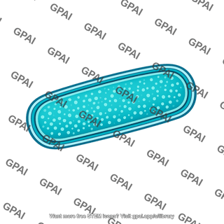 Rod shaped cyanobacterium with double envelope