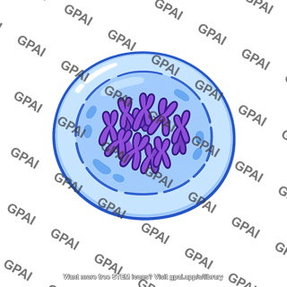 Cell prophase
