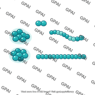 Cyanobacteria