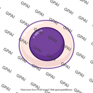 Animal stem cell