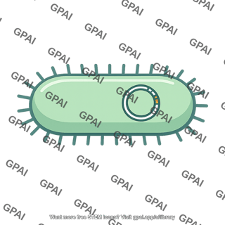 Bacterium genetically engineered