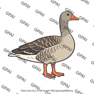 Greylag goose