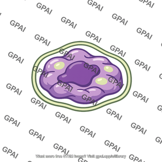 Protoplast plasmolyzed