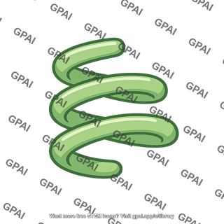 Spiral bacterium loose coil