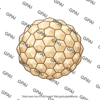 Hpv