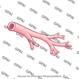 Bronchiole