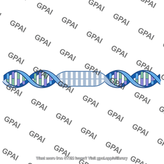 Noncoding dna sequence