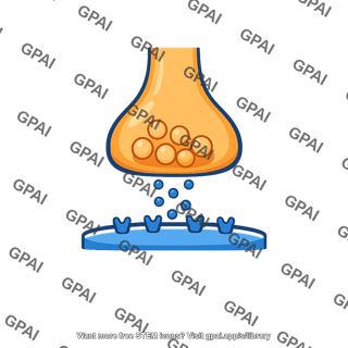 Synapse chemical