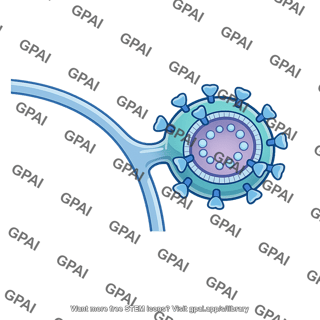 Hiv budding
