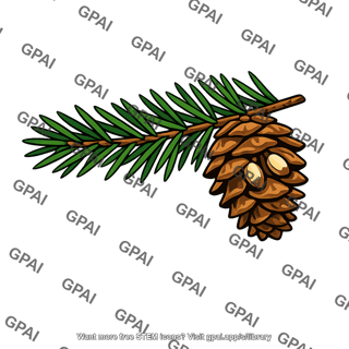 Gymnosperm phylum