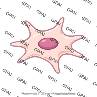Support cell