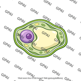 Plasmolyzed protoplast