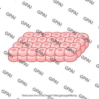 Embryonic tissue