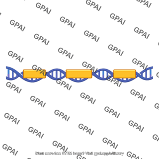 Gene with introns and exons