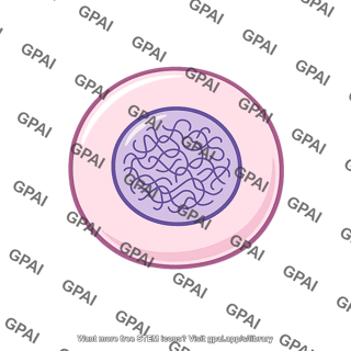 Cell g1 phase