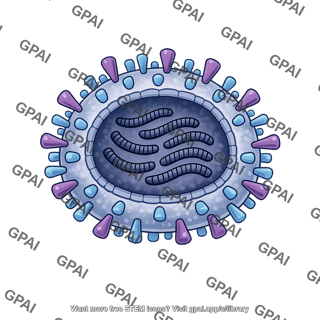 Influenza virus