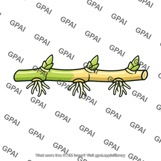 Vegetative reproduction structure