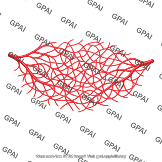 Systemic capillary network