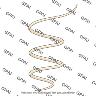 Flagellum spiral