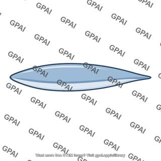 Streamlined body