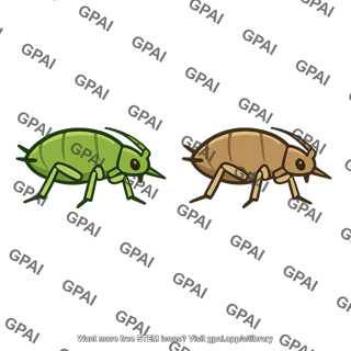 Aphids