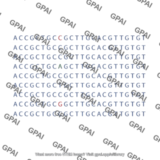 Dna sequence alignment