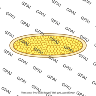 Pollen sac