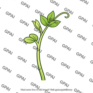 Pea seedling