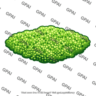 Algal bloom