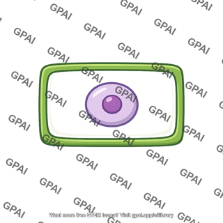 Plant basal cell