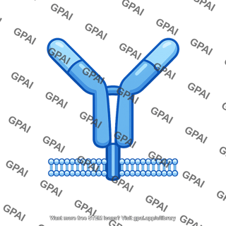 Antigen receptor