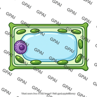 Plant cell