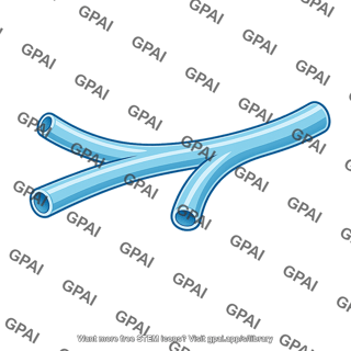 Endoplasmic reticulum tubule